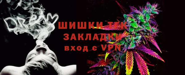амф Арсеньев