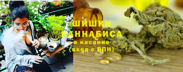 амф Арсеньев