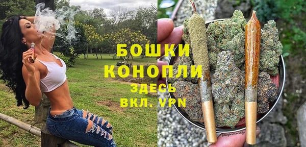 амф Арсеньев
